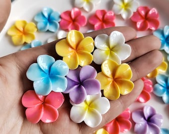 Cabochão de resina plumeria com fundo plano e flores de cores mistas de 23 mm para decoração de joias/celulares faça você mesmo