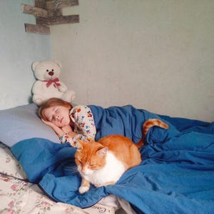 Дорожное одеяло/спальный мешок для домов отдыха, коттеджей и автопутешествий