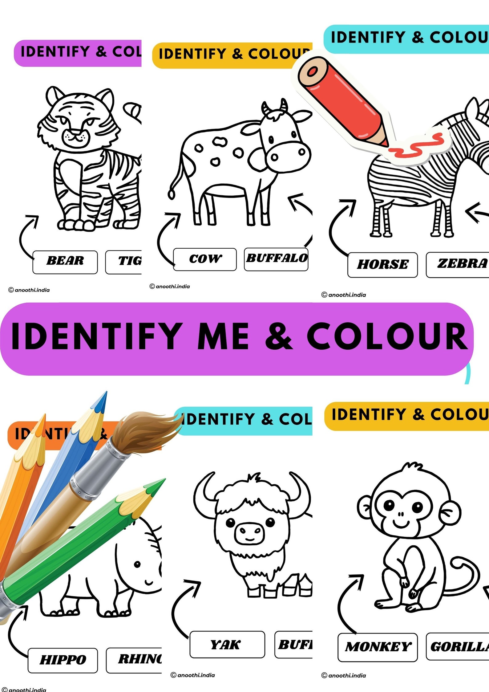Printable Identify Me & Colouring Sheets,cute Colouring Pages,15 ...