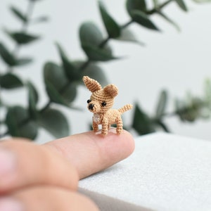Micro Chihuahua - Mininature Dog Crochet - Tiny Chihuahua Dollhouse Animals Collection