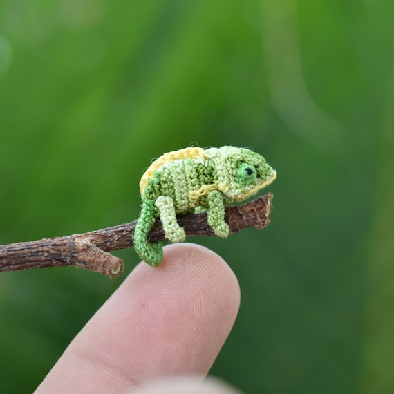 Camaleón Es Reptil: Descubre Su Fascinante Mundo Cambiante
