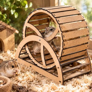 May include: A light brown wooden hamster exercise wheel with a circular frame and horizontal slats. A small hamster is positioned inside the wheel, while another hamster sits on the wood shavings nearby, eating a small piece of food.