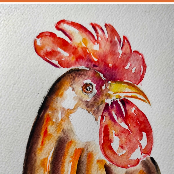 aquarelle de coq