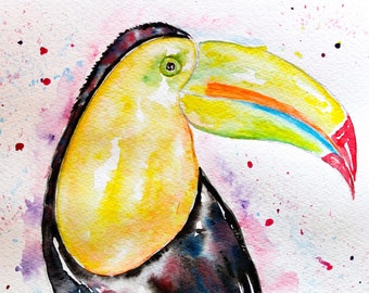 Tucán de acuarela original, pintura de aves exóticas