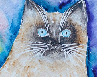 original watercolor cat, cat with an intense gaze, cat painting, gift for cat fan, cat collection