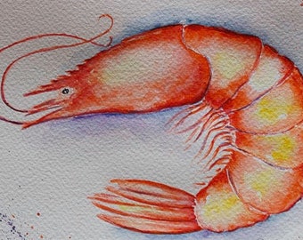 Original watercolor shrimp gift mother's day art, animals, illustration, sea art, sea life art, decoration, wall art, kitchen art ,ocean