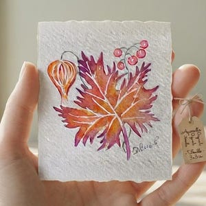 Può includere: Un foglio quadrato di carta bianca ruvida con un acquerello raffigurante una grande foglia d'acero arancione e viola, un piccolo alchechengi arancione e bacche rosse. Un cartellino di carta marrone riporta la scritta 3x3 cm.