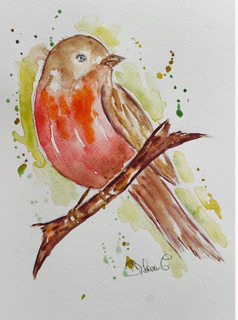 Original Watercolor Red Robin Bird Painting Art - Etsy