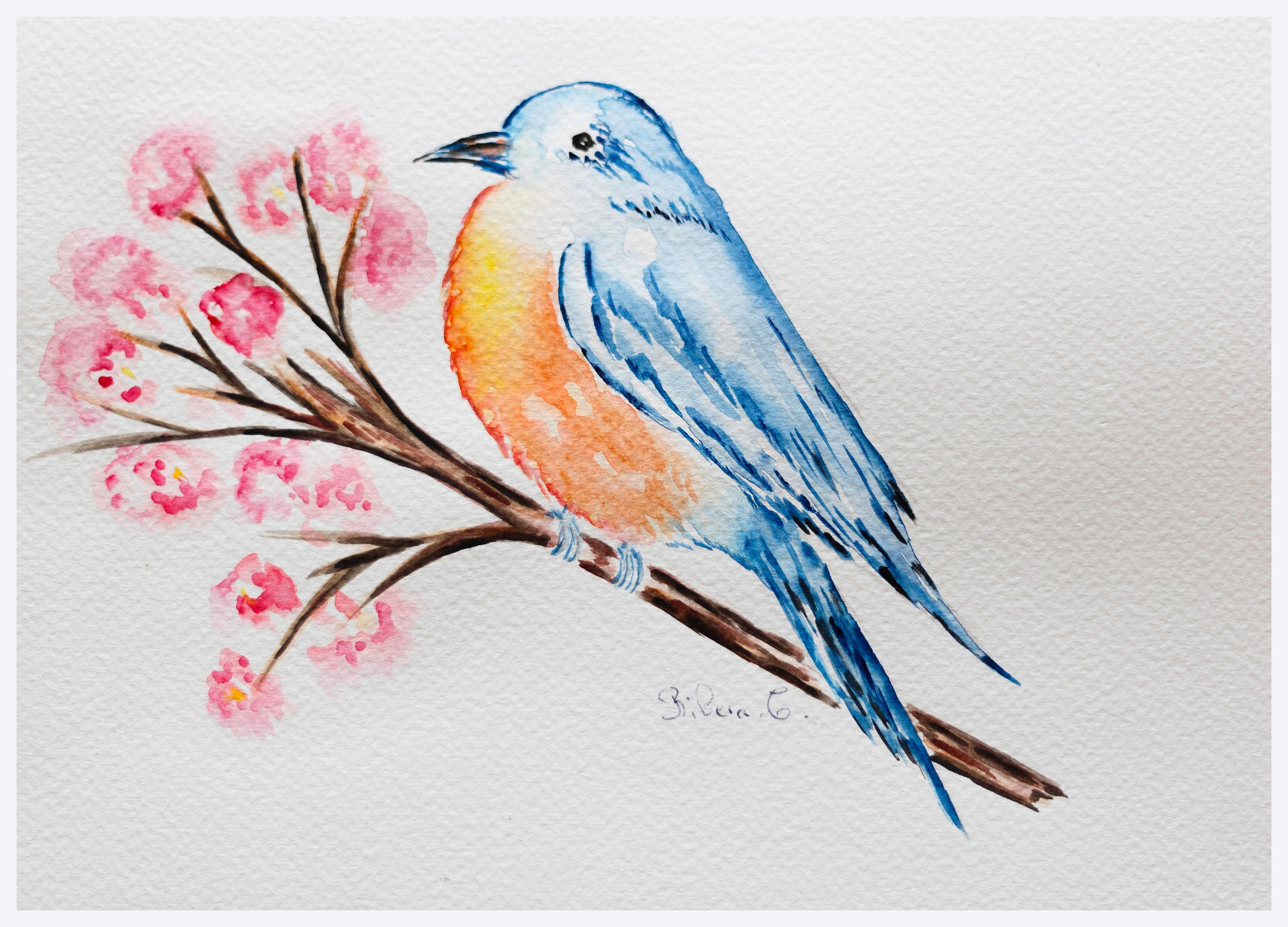 オリジナルのアオガラの絵画 - ミニチュア鳥の水彩画 - 自然の壁アート