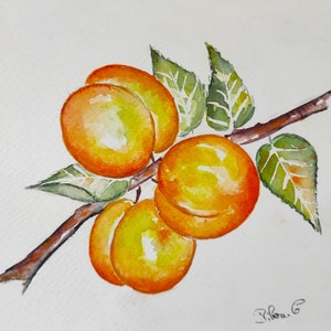 Fresh Fruit Wall Art – Original Apricot Watercolor – Small Kitchen Painting – Summer Decor – Hand Painted Still Life