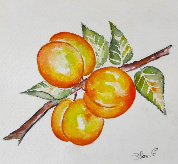 Art Mural Cuisine Frais & Fruité – Aquarelle Originale Abricot Nature Morte – Peinture Unique Déco Murale Été