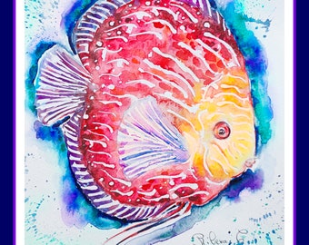 Original watercolor discus, art animals, illustration, sea art, sea life art, nautical, ocean ,art fish ,gift mother"day by Corineribera