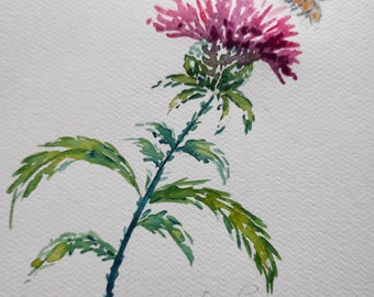 Original watercolor thistle flower
