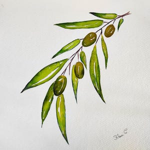 Acquerello Ramo d'ulivo – Arte botanica originale – Decorazione murale naturale