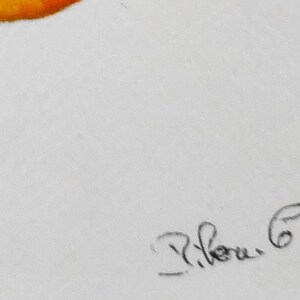 Signed original apricot watercolor for home decor
