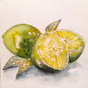 Original Lime Watercolor Painting – Botanical Fruit Art – Fresh Kitchen Wall Decor – Handmade Citrus Artwork Gift