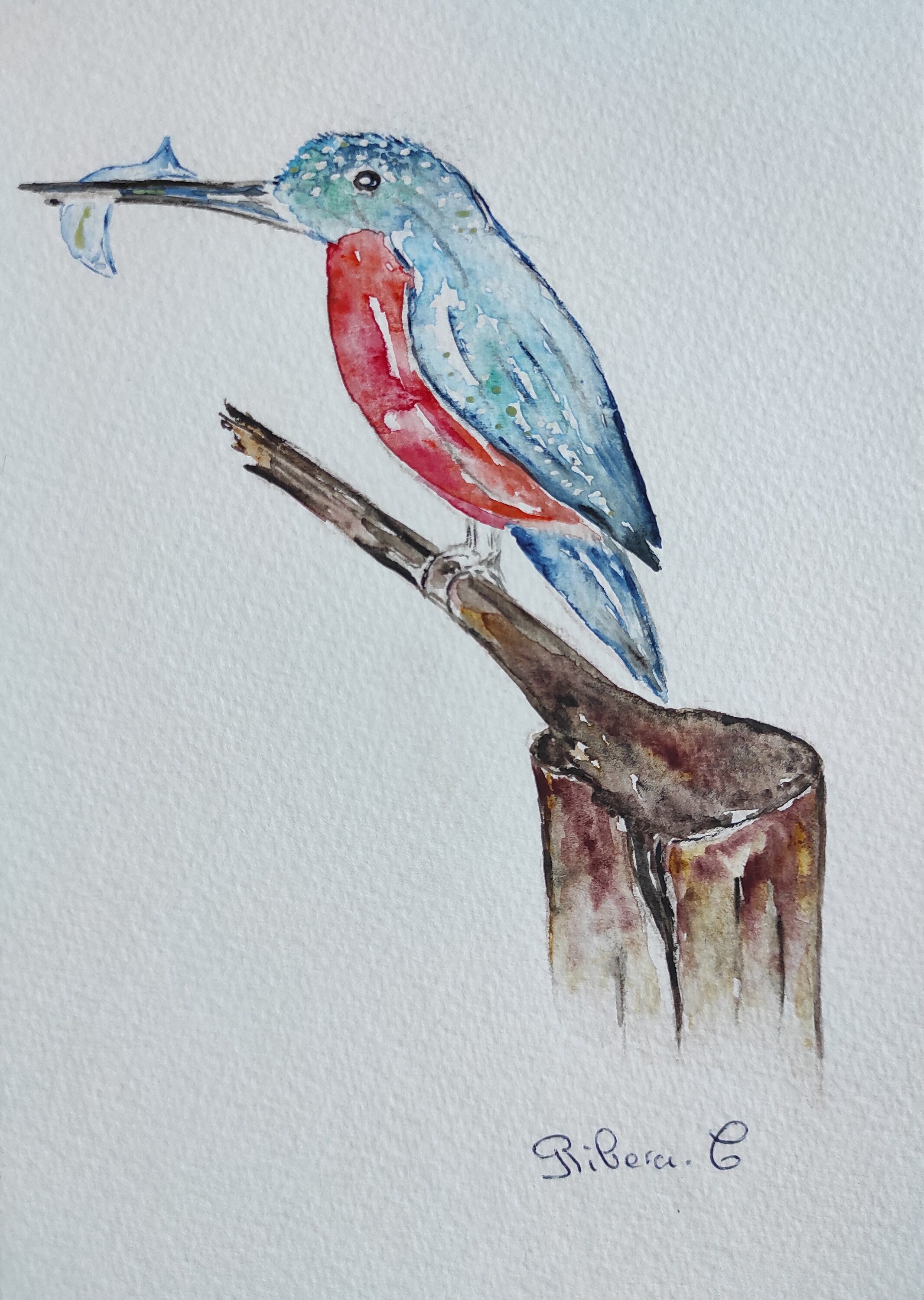 Kingfisher Watercolour Print Uk Free Postage Bird Wall Art/Artwork Animal Art Nature Painting Kingfi