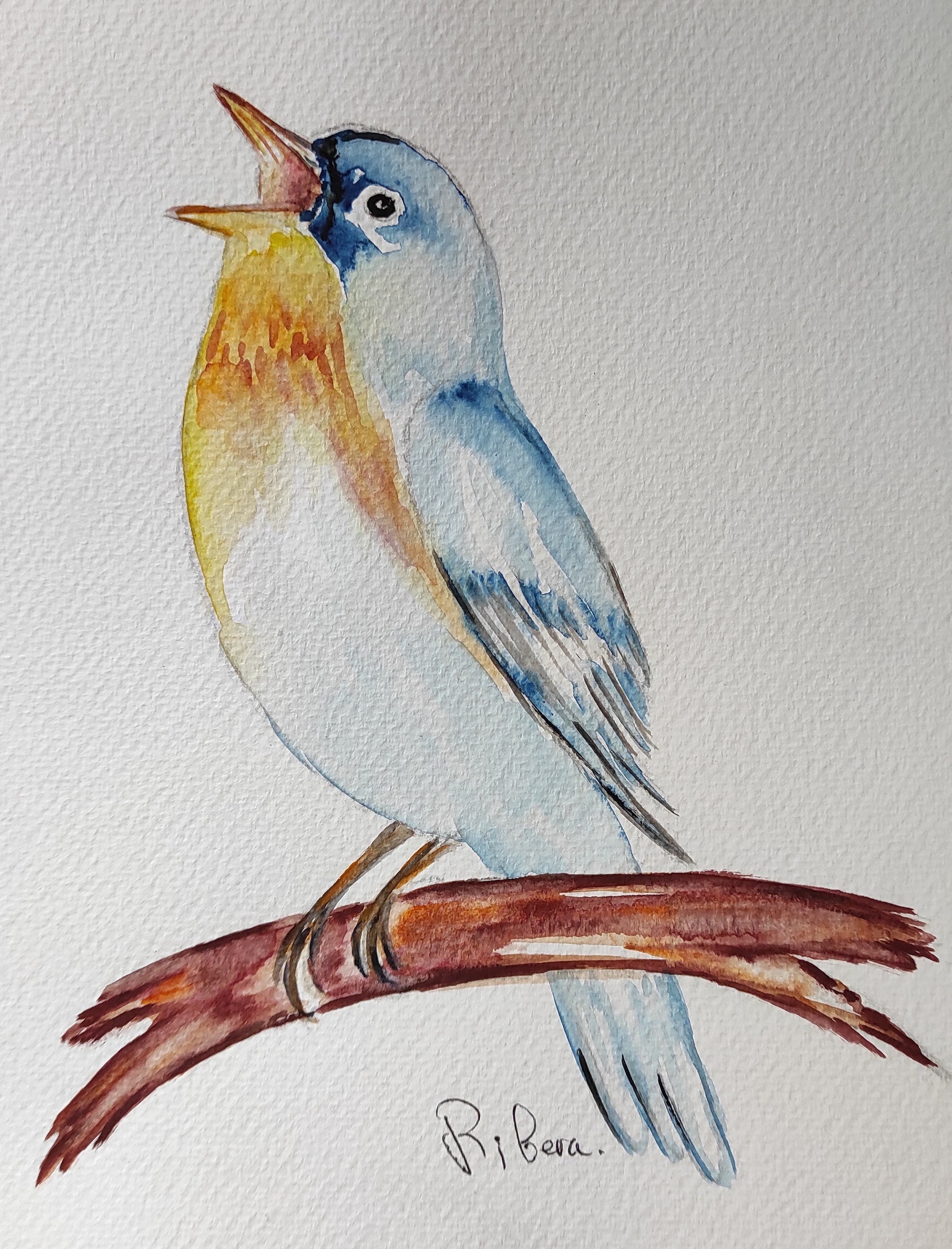 Expressive Watercolor Birds Sketch and Paint  INPERSON CLASS  The  Chattery