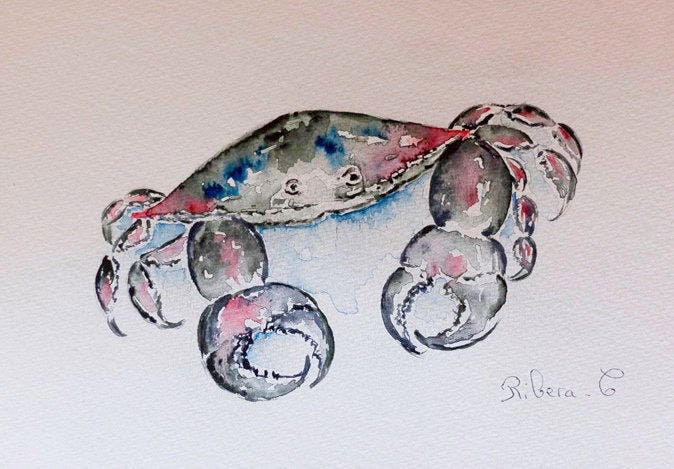 Crab , Ocean Art Watercolor Crab Wall Decor, Beach Wall Art Coastal Blue Crab Print, Nautical Sea Nu