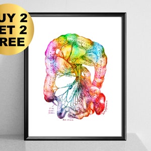 Intestines Art, Human Digestive System, Internal Organs Art, Watercolor Anatomy Art, Medical Poster, Gastroenterologist Gift
