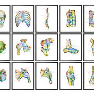 May include: A set of 12 anatomical illustrations of the human skeletal system. Each illustration is a colorful watercolor painting of a different bone or bone group, including the skull, rib cage, spine, pelvis, hip, knee, ankle, and foot. The illustrations are labeled with the names of the bones and bone parts.