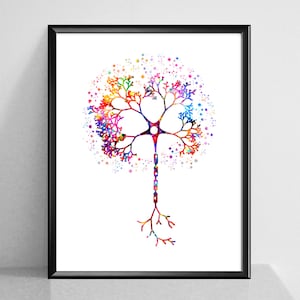 Neuron Anatomy Art Watercolor Neuron Cell Artwork Neurology Art Neuroscientist Gift Psychologist Office Decor Psychiatrist Gift Doctor Gift