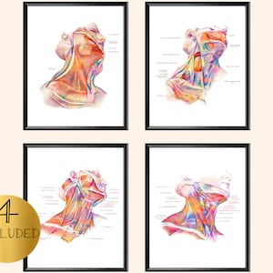 Neck Muscles Anatomy Poster Watercolor Art Medical Decor Chiropractic Clinic Wall Art Massage Therapist Gift Medical School Decor