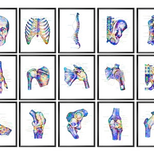 15 Orthopaedic Art Skeletal System Art Watercolor Anatomy Artwork Human Physiology Art Medical Poster Chiropractor Gift Surgeon Gift