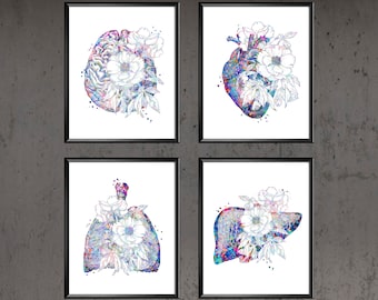 4 Anatomy Art, Brain Art, Anatomical Heart, Human Lungs, Liver Art, Medical Art, Doctor Gift, Surgeon Gift, Clinic Wall Art, Medical Poster