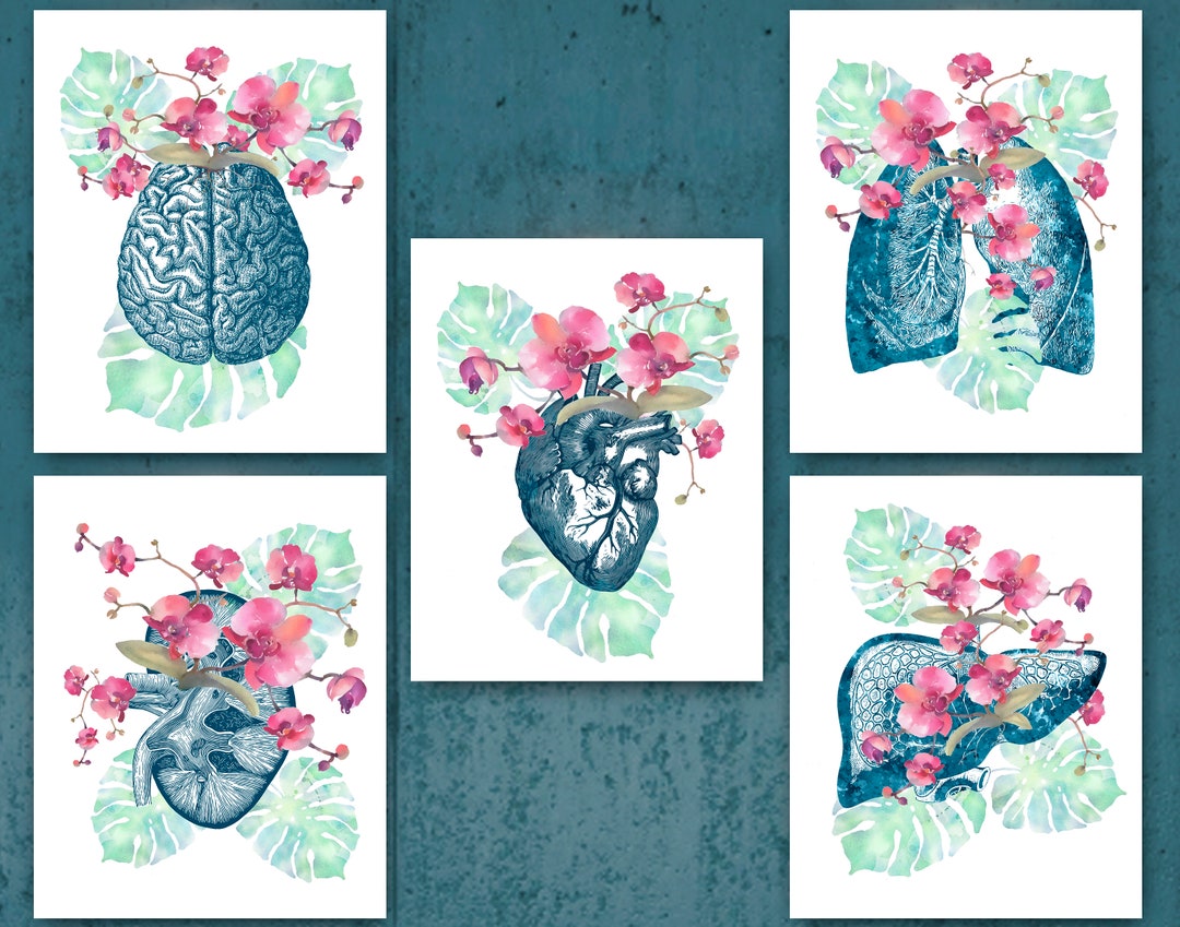 Watercolor Anatomy and Orchids Art Set of 6 Floral Brain Heart and ...