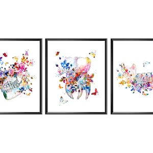 Art dentaire aquarelle cadeau dentiste dessin floral dentaire anatomie des dents et de la mâchoire affiche décor médical affiche de dentisterie clinique dentaire art mural