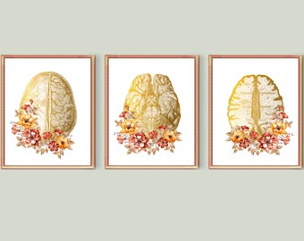 Neurologie Kunst Gold Anatomisches Gehirn und Blumen Poster Detaillierte Gehirn Anatomie Kunst Medizinisches Dekor Neurologe Geschenk Psychologe Geschenk Wissenschaftler