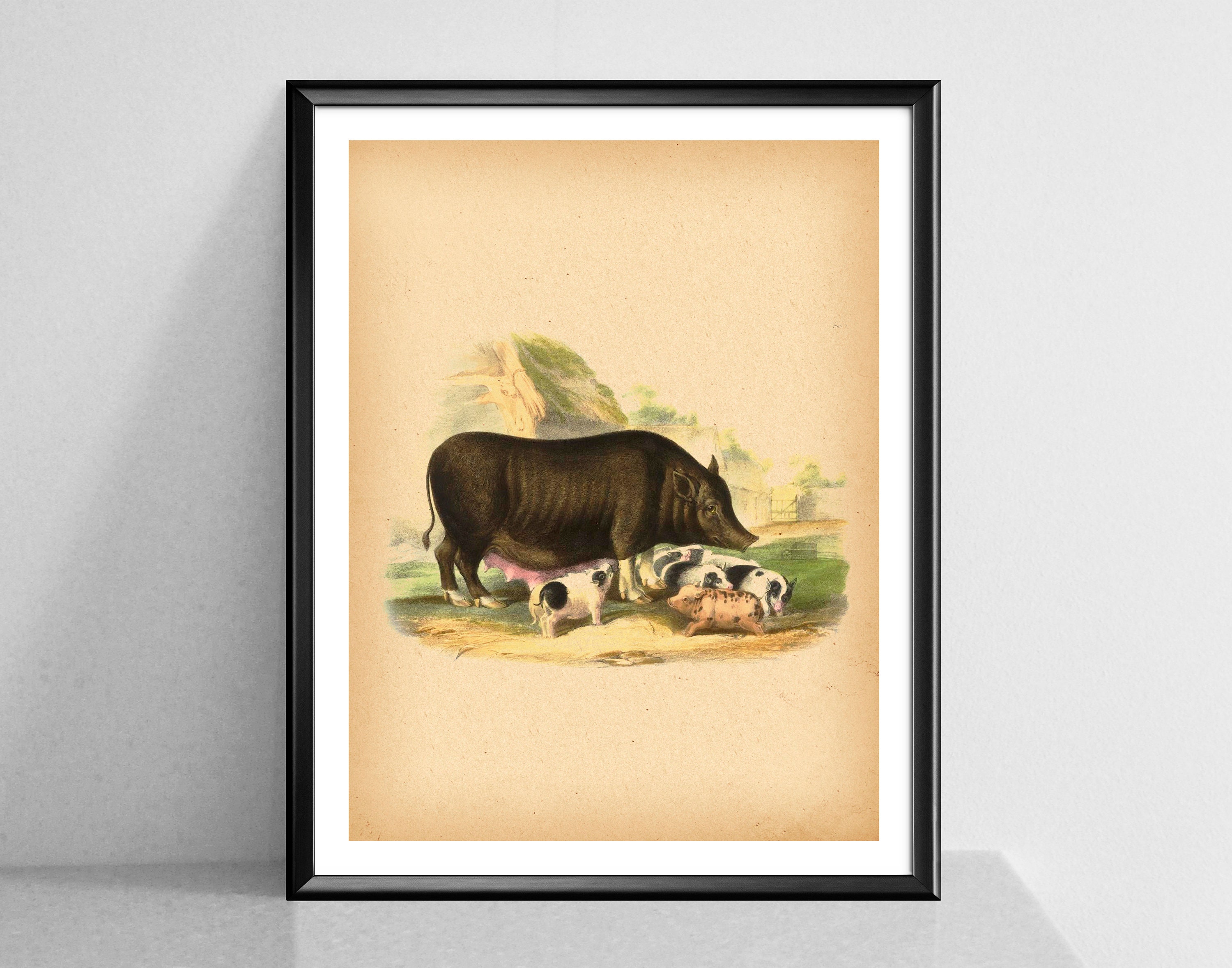Vintage Farm Animals Poster Farmhouse Decor Country Art Etsy