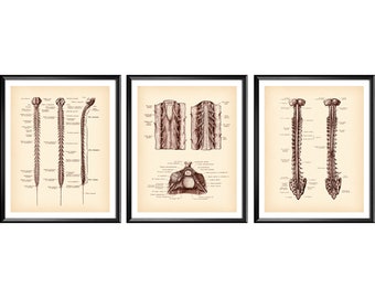 Vintage Neurology Art, Spinal Cord Poster, Anatomy Art, Medical Art, Human Nervous System, Medicine Art, Neurologist Gift