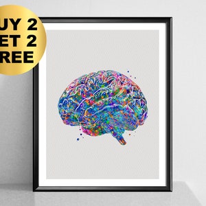Human Brain Art - Watercolor Anatomy - Neurology Art - Neurologist Gift - Psychiatrist Gift - Psychologist Decor - Clinic Wall Art