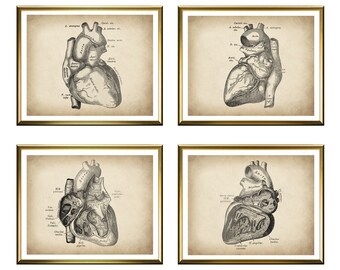 4 Human Heart Anatomy Vintage Poster Medical Artwork Antique Medicine Art Cardiologist Gift Doctor Room Decor Heart Surgeon Gift