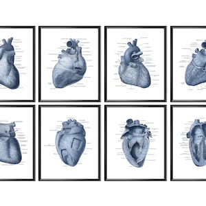 Human Anatomical Heart Art Posters Cardiology Center Decor Cardiologist Gift Doctor Office Decor Medical Art Medical Cabinet Wall Art
