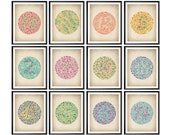 12 Vintage Ishihara Color Blindness Tests Posters Eye Diagnostic Testing System Eyesight Check Diagram Optician Gift Optometrist Gift