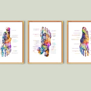 Orthopedic Anatomy Poster Foot Bones Prints Skeletal Bones Structure Chiropractor Gift Clinic Wall Decor Orthopedic Surgeon Gift