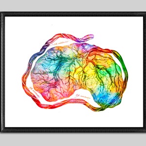 Rainbow Placenta Art Midwifery Art Obgyn Artwork Watercolor Female Anatomy Art Pregnancy Art Childbirth Art Midwife Gift