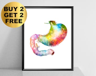 Watercolor Digestive System, Stomach Anatomy Art, Human Internal Organs, Medical Poster, Gastroenterology Art, Doctor Gift, Surgeon Gift