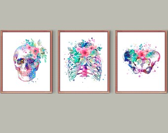 Set 3 Skeletal System Anatomy Art Orthopedic Art Medical Art Floral Skull Art Rib cage Art Pelvis Art Chiropractor Gift Orthopedic Surgeon