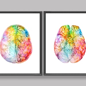 Watercolor Brain Art, Neurology Art, Medical Poster, Clinic Decor, Neurologist Gift, Neuroscience Art, Psychiatrist Gift, Psychologist Art