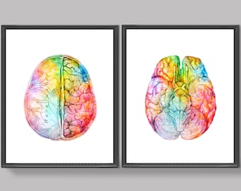 Watercolor Brain Art, Neurology Art, Medical Poster, Clinic Decor, Neurologist Gift, Neuroscience Art, Psychiatrist Gift, Psychologist Art