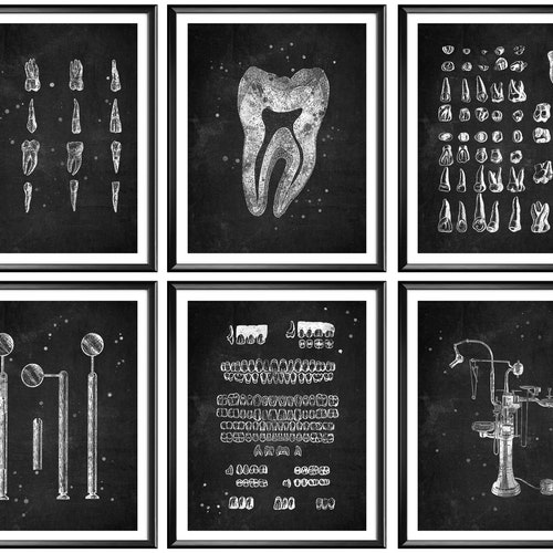 Set 9 Dental Art Dentist Gift Tooth Anatomy Medical Art Dental Etsy