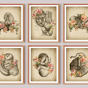 6 Vintage Midwifery Art Floral Baby Painting Pregnancy Art Obgyn Wall Art Midwife Gift Childbirth Art Physiology Art Anatomy Art Obstetrics