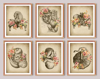 Op de afbeelding: Set van zes vintage anatomische illustraties van een foetus in verschillende stadia van ontwikkeling, met bloemmotieven. De illustraties zijn in zwart-wit met een sepia-tint en bevatten delicate bloemdetails in roze, gele en witte tinten.