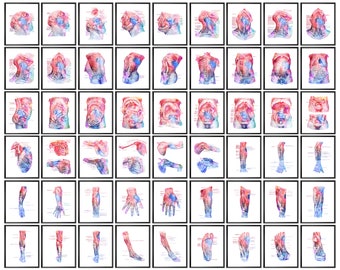 54 Anatomy Art Posters Medical Artwork Physiology Art Physical Therapy Wall Decor Massage Art Med School Educational Art Doctor Office Gift
