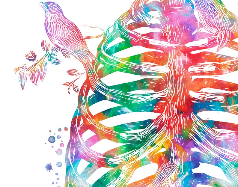 Rib Cage Printable Anatomy Watercolor Painting Human Etsy