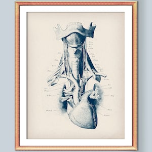 Tórax humano Anatomía del tórax con corazón Arterias Venas Nervios Póster Arte médico vintage Dibujo a lápiz Regalo del cardiólogo Doctor Arte de oficina